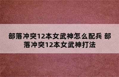 部落冲突12本女武神怎么配兵 部落冲突12本女武神打法